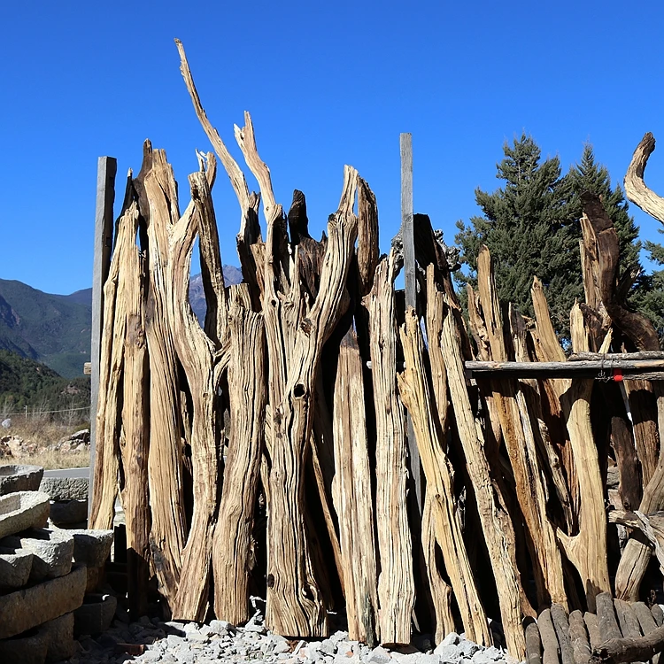 

Старый вяз, декоративное дерево, уличное консервантное дерево, твердый пол, прямоугольная бревенчатая древесина, проживание в семье, мертвый мягкий