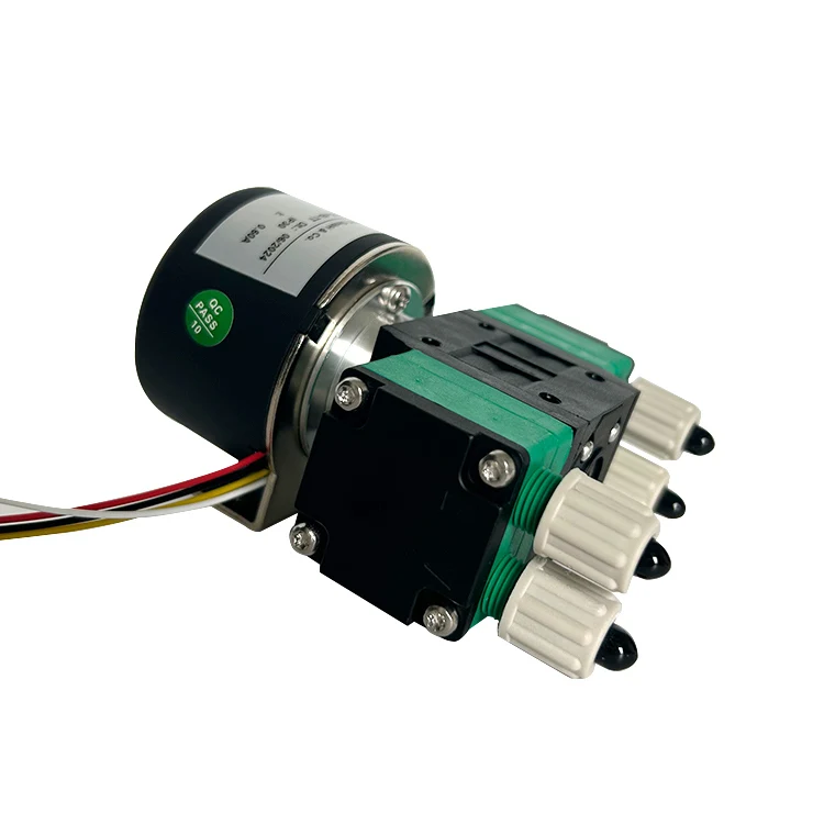 

Factory Custom 12V/24V Micro DC Pump High Efficiency Diaphragm Pump