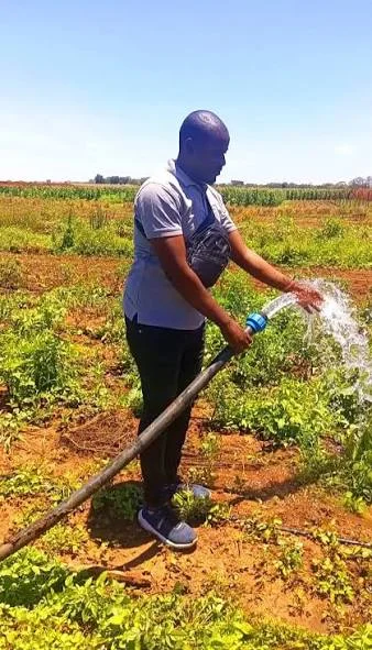 Small Solar Powered Submersible Pump System for Well Water Irrigation DC Off-Grid Bore Pump with MPPT Controller Cost Effective