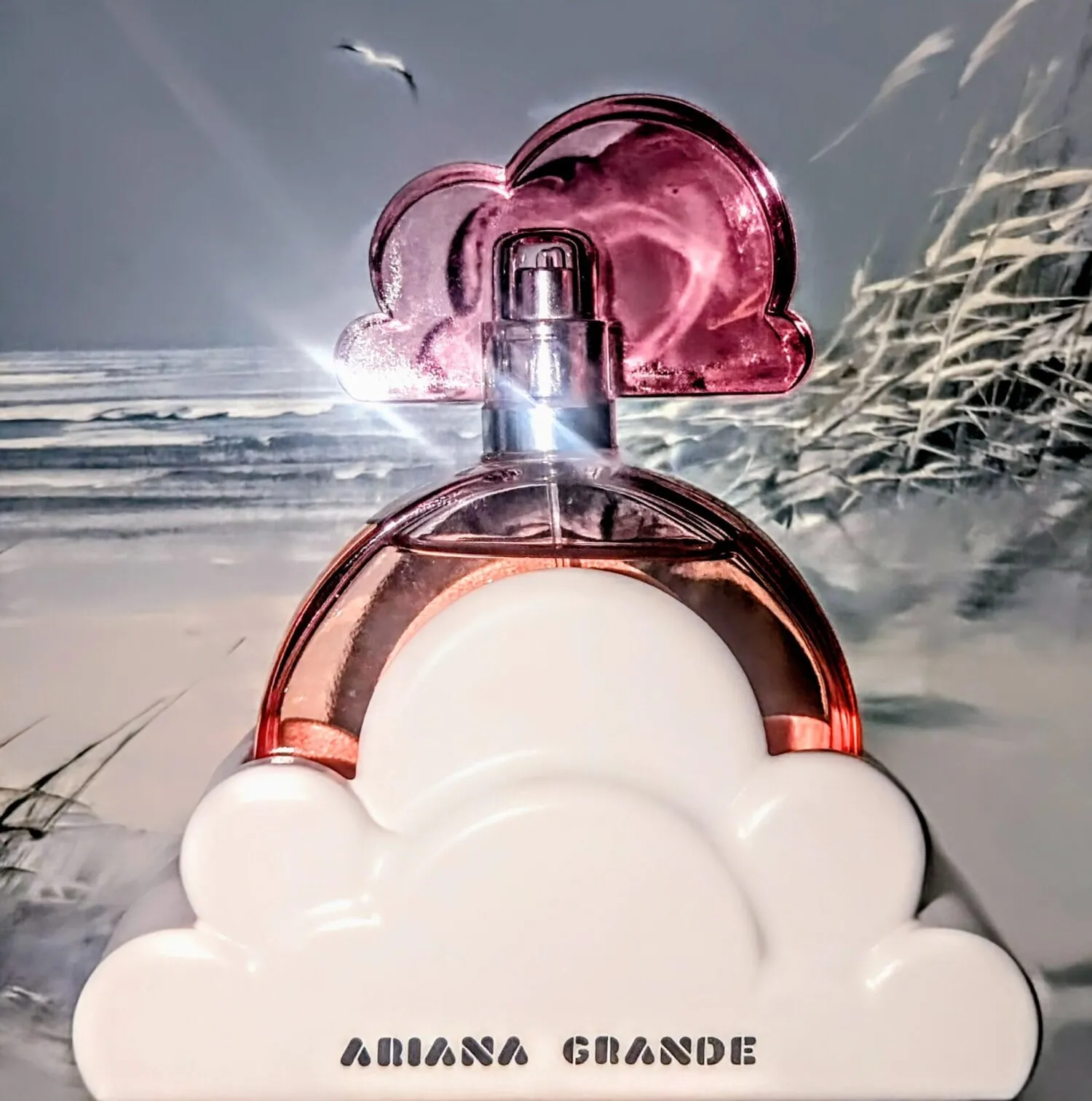 Perfume Ariana Grande para Mujer 100ml Aroma Floral Frutal Dulce de Larga Duración Regalo Uso Diario Spray