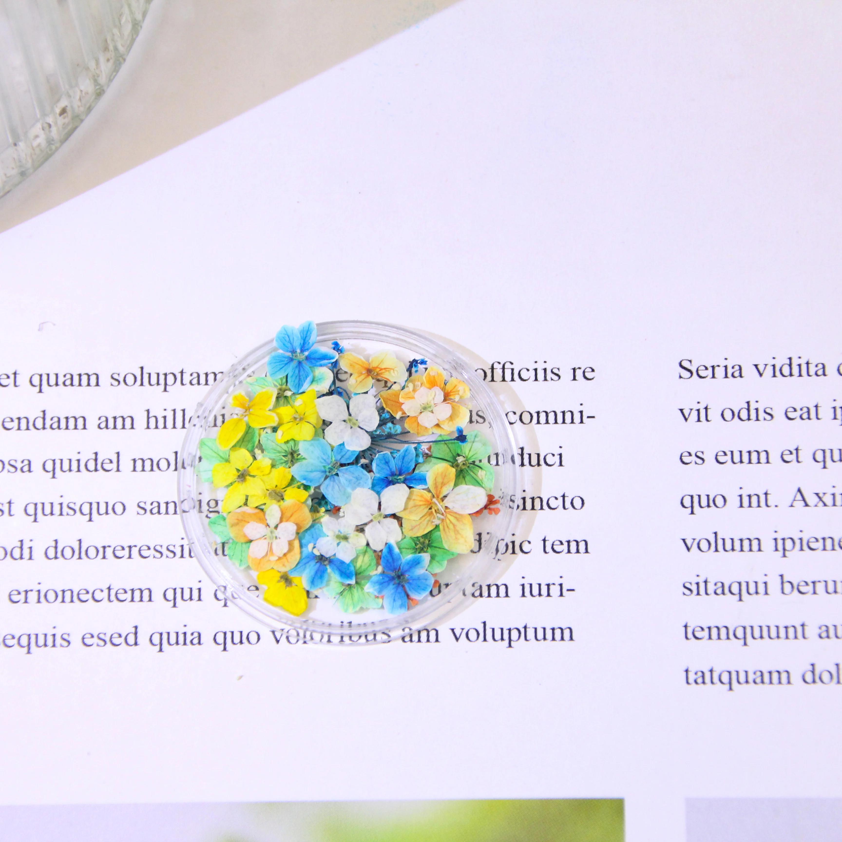 

Набор для дизайна ногтей Star River: Сухоцветы ручной работы, 3D-украшения для ногтей, сделай сам