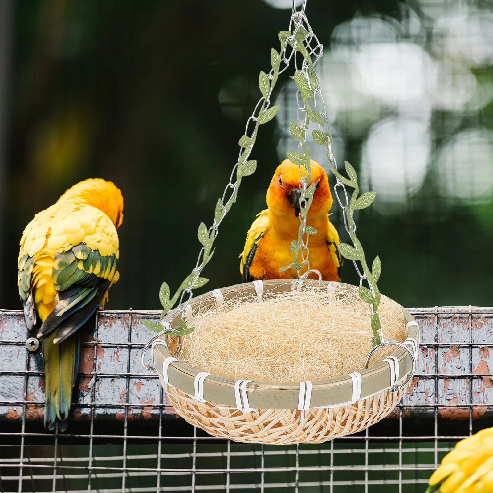 

Bamboo Woven Bird Nest Hanging Parrot Cage Bed for Outdoor Birds Suitable Parakeet Cockatiel Finch Canary Lovebird
