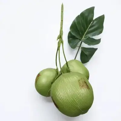 

1 Bunch Lifelike Artificial Coconuts Simulation Decorative Photo Props For Tropical Party Hawaiian Decoration Fake Coconut Green