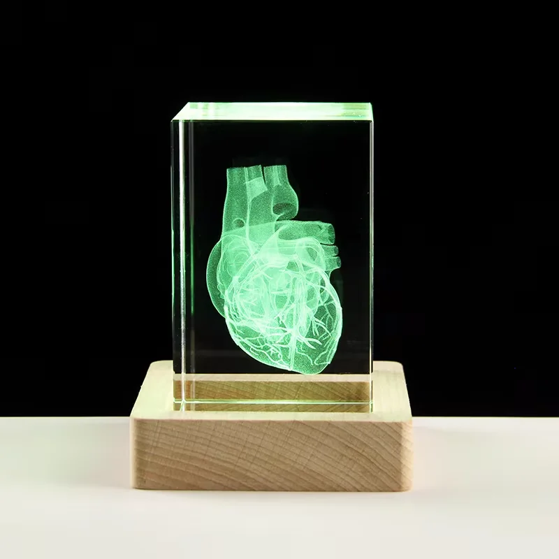 3D laser engraving crystal heart model intracardic surgical teaching props Medical gifts Hospital paperweights Human organs