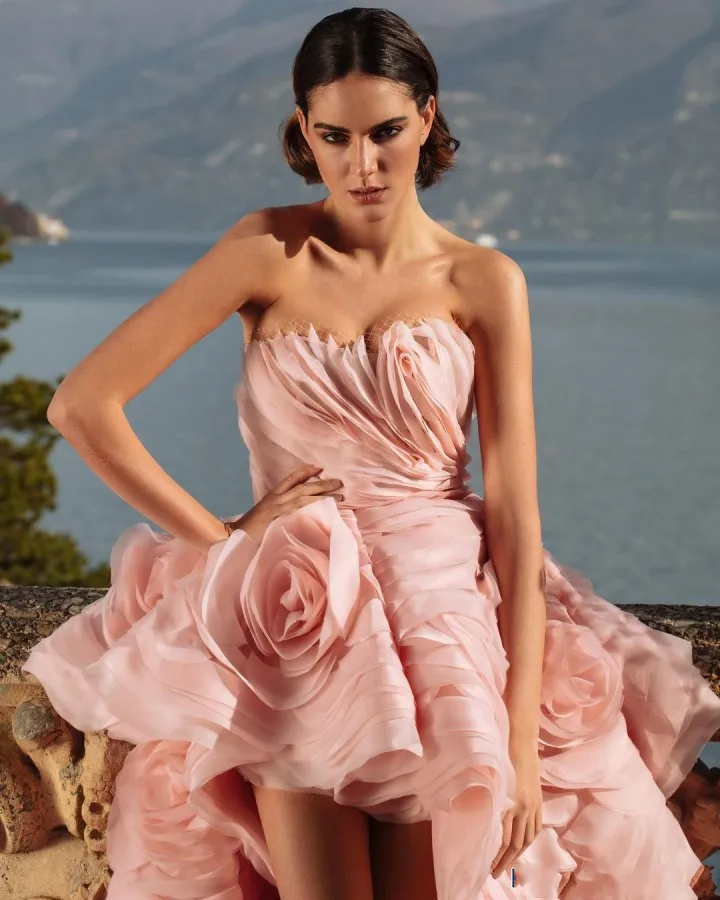 Unique Blush Pink 3D Flower High Low Prom Gowns Ruched Flower Long Formal Party Dresses Pretty Bridal Dress