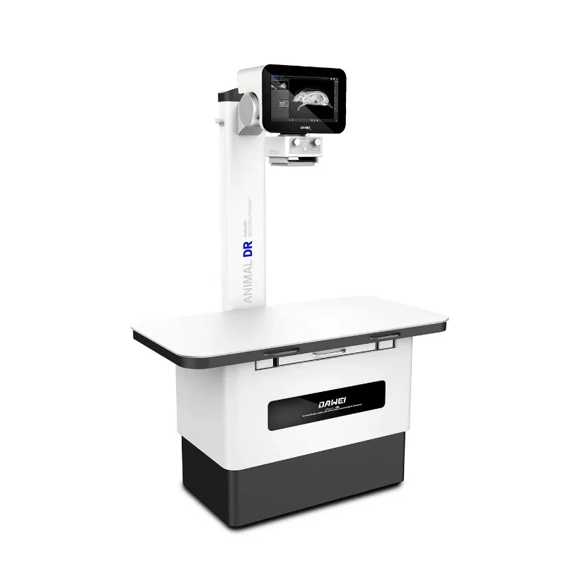 High Quality and Professional Veterinary Radiographic Equipment X-ray System for Animals