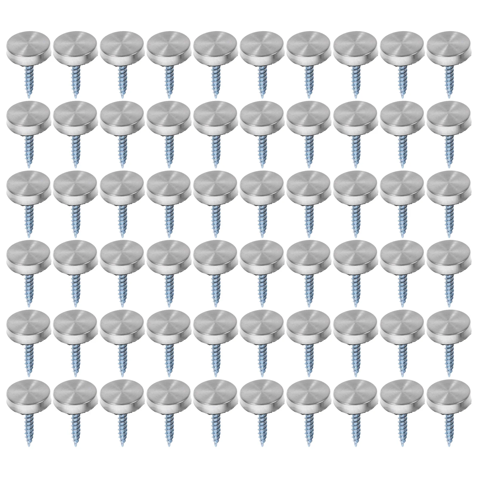 

100Pcs Stainless Steel Screw Caps with Decorative Covers for Mirrors Glass Panels Advertising Displays Secure No-Tool