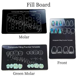 3Sizes Dental Composite Resin Filling Practise Template Teeth Morphology Board Anatomical Model  Study  Board