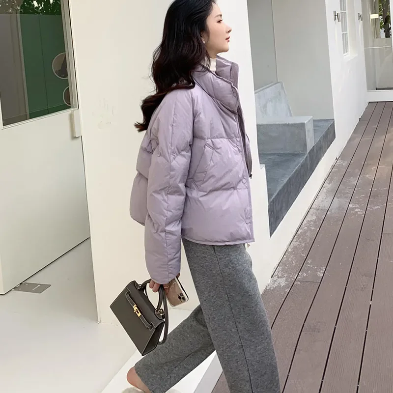 Stand Collar Short Cotton Padded Jacket Women Autumn Winter New Personalized Versatile Parkas Warm Bread Coats