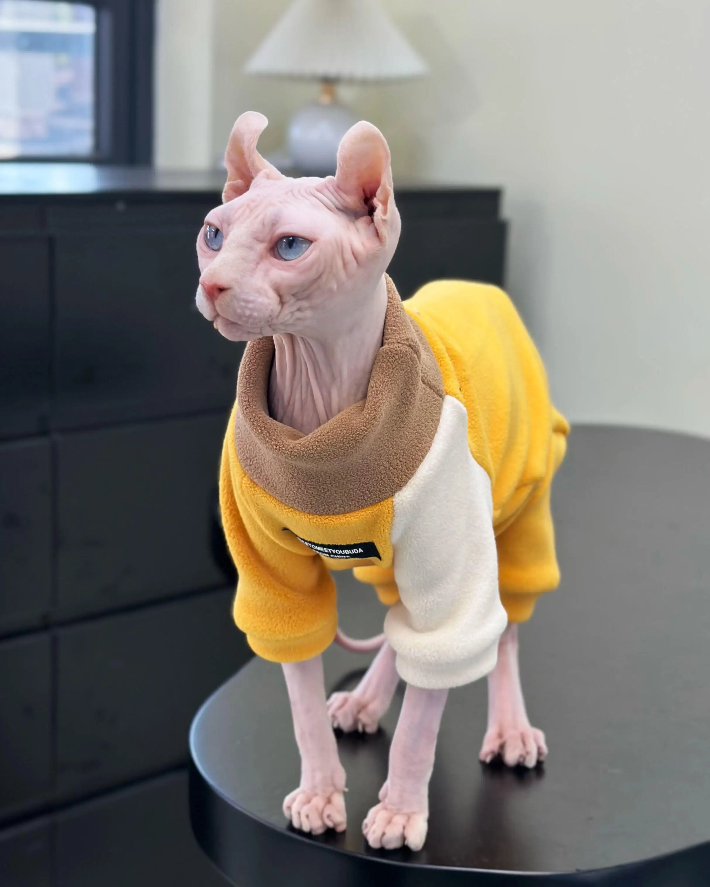 Fashion Fleece Coat for Sphynx Cat Autumn Soft Yellow Jumpsuit Coffee Sweatshirt for Kittens T-shirt Elestic For Devon Rex