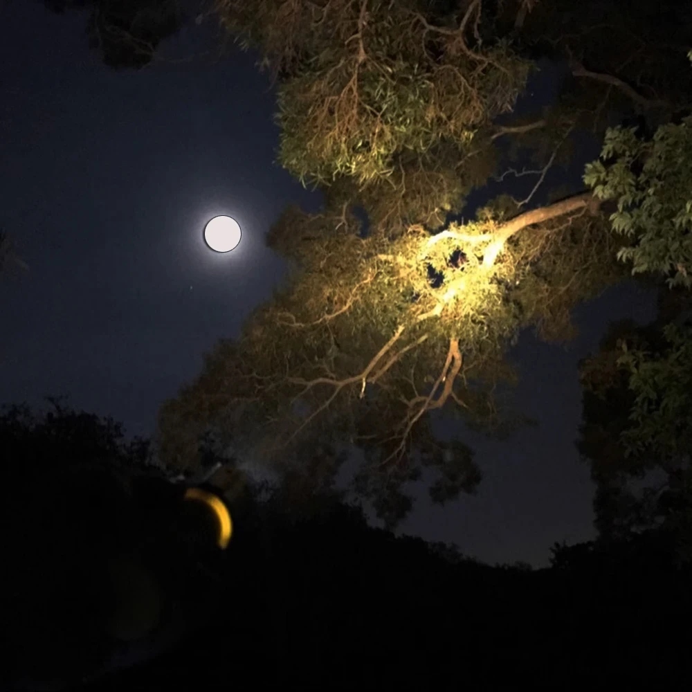 Diving Plastic Flashlight,Submarine Safety Waterproof Torch Light, Yellow light T6 LED waterproof 50 meter flashlight