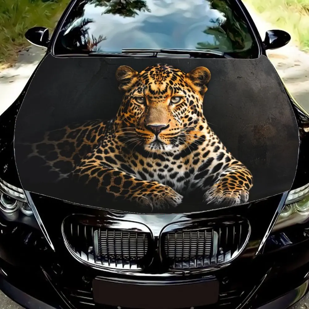 

Solid and majestic leopard portrait car vinyl wraps, vinyl car hood graphics, showing a domineering style.