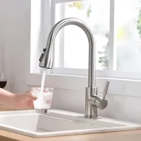 Kitchen Faucet Brushed Nickel Color Surface Hot and Cold Water Faucet Kitchen Sink Pull-out Kitchen Faucet Single Hole