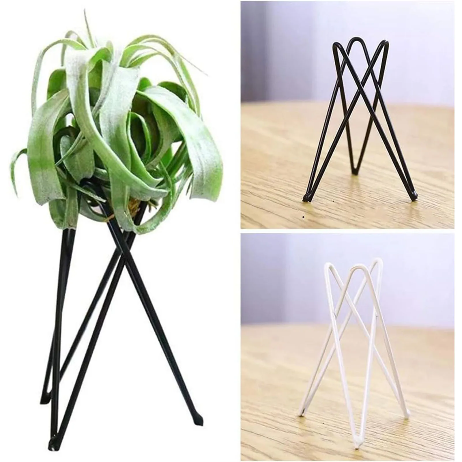 Soportes de planta de aire geométricos, contenedor de plantas de aire de escritorio elegante para regalo familiar de amigo y vecino