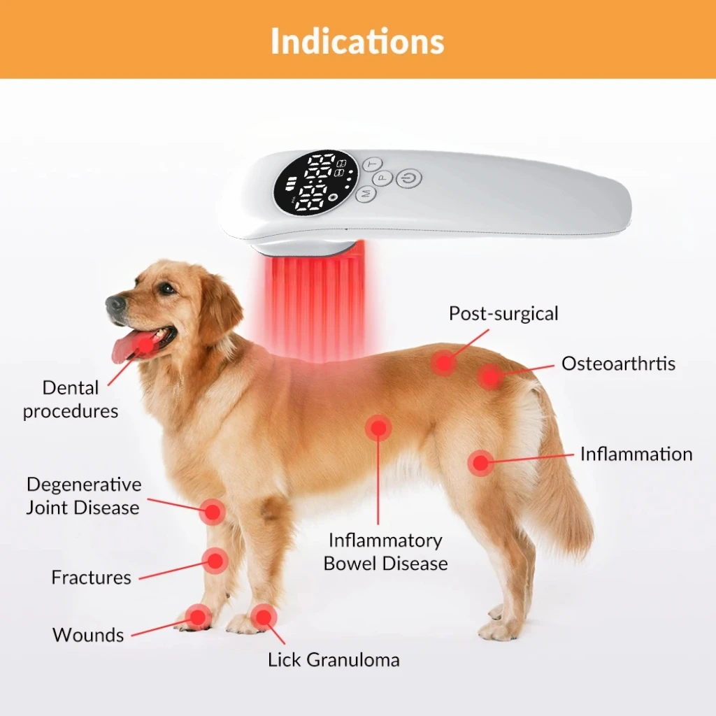 

Pet Dogs Cats Horse Red Light Therapy Device 650nm + 808nm Laser for Pain Relief Inflammation Wound Healing LLLT Physiotherapy