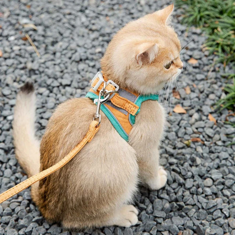 Cat Harness Leash Set For Chihuahua Accessories Dog Cat Vest Pug Leashes Walking Tools Walk Out Leads Rope Collar Supplies