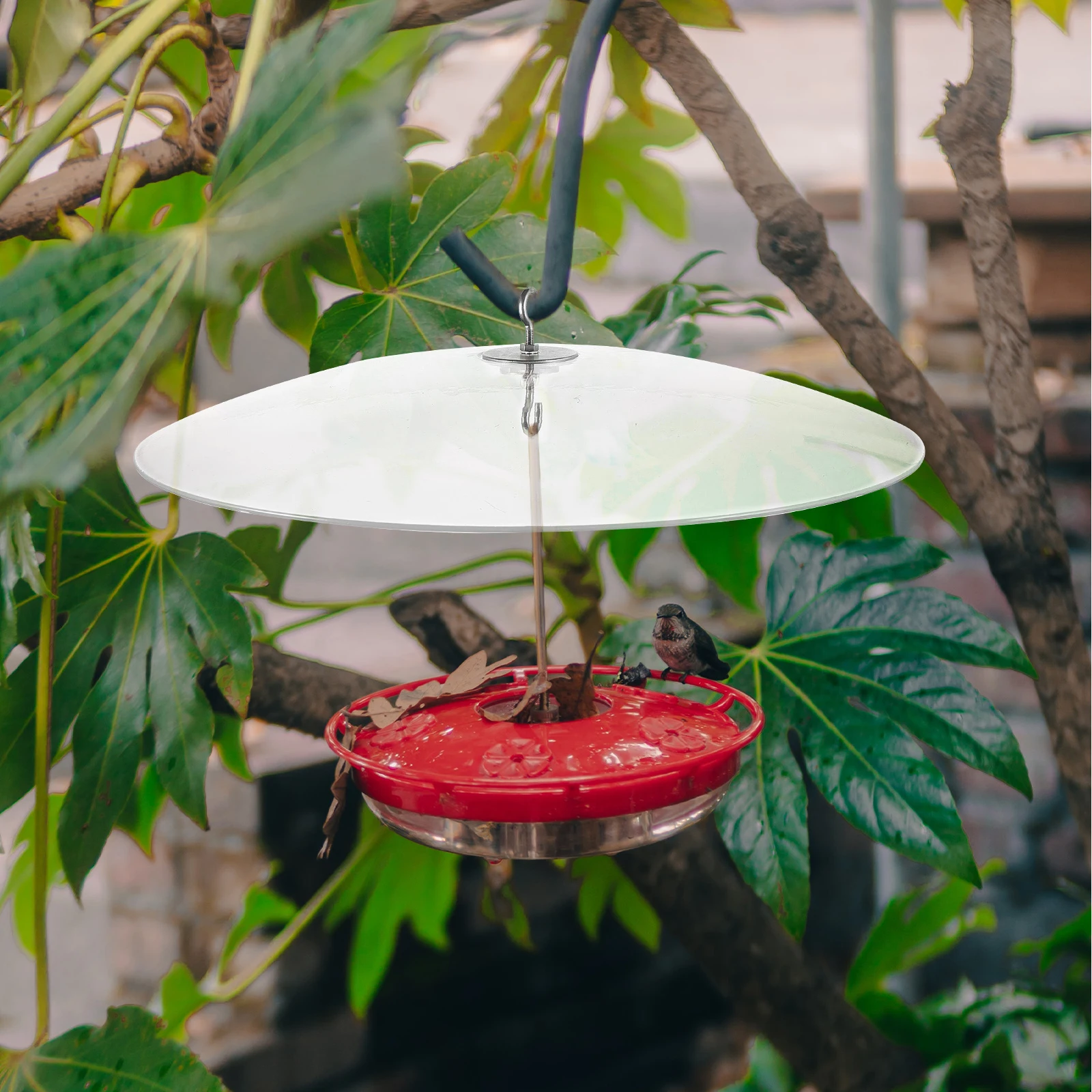 

Plastic Bird Cover Squirrel Proof Guard Feeders Supply Fence Dome Bird Feeders Cover Outdoor Protector Baffle Rain