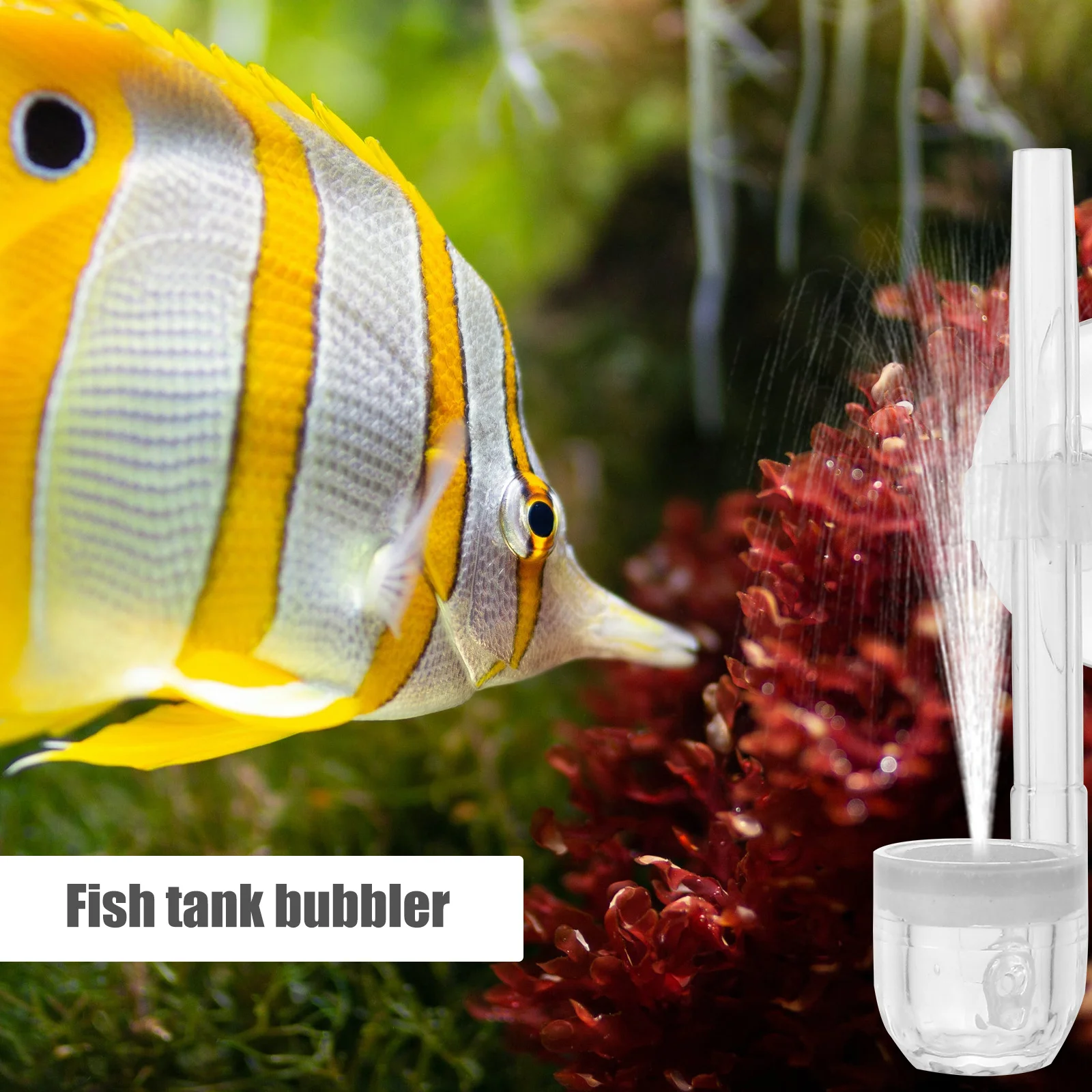 

Premium Aquarium Air Stone Bubbler Uniform Small Dense Bubbles Oxygenation Effect Hydroponic System Fish Tank Bubbler