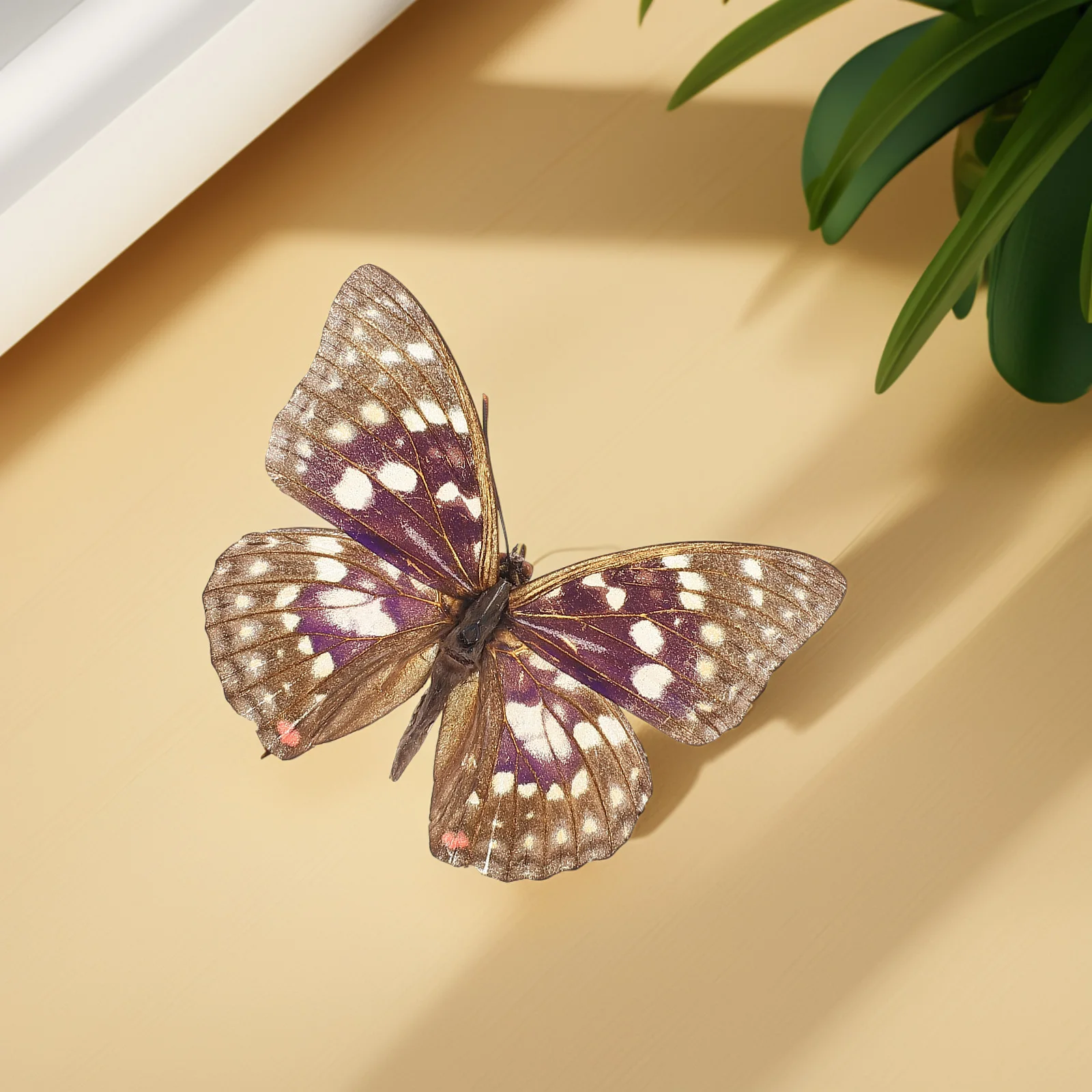 Real Butterfly Specimen Purple Framed Unique Decor Science Classroom Educational Tool Kids Collection Entomology Display