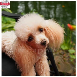 5D DIY Full Square drill Diamond Painting Cross Stitch Cute Poodle Diamond Rhinestone Embroidery beads pet dog Mosaic decor gift