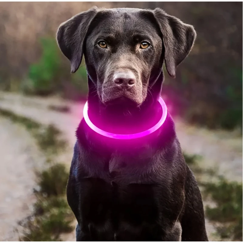 LED Luminous Color Dog Collar Multicolor Luminous  Plastic Pet Safety Lamp Night Anti-lost Traction Rope For Pet Adults Night