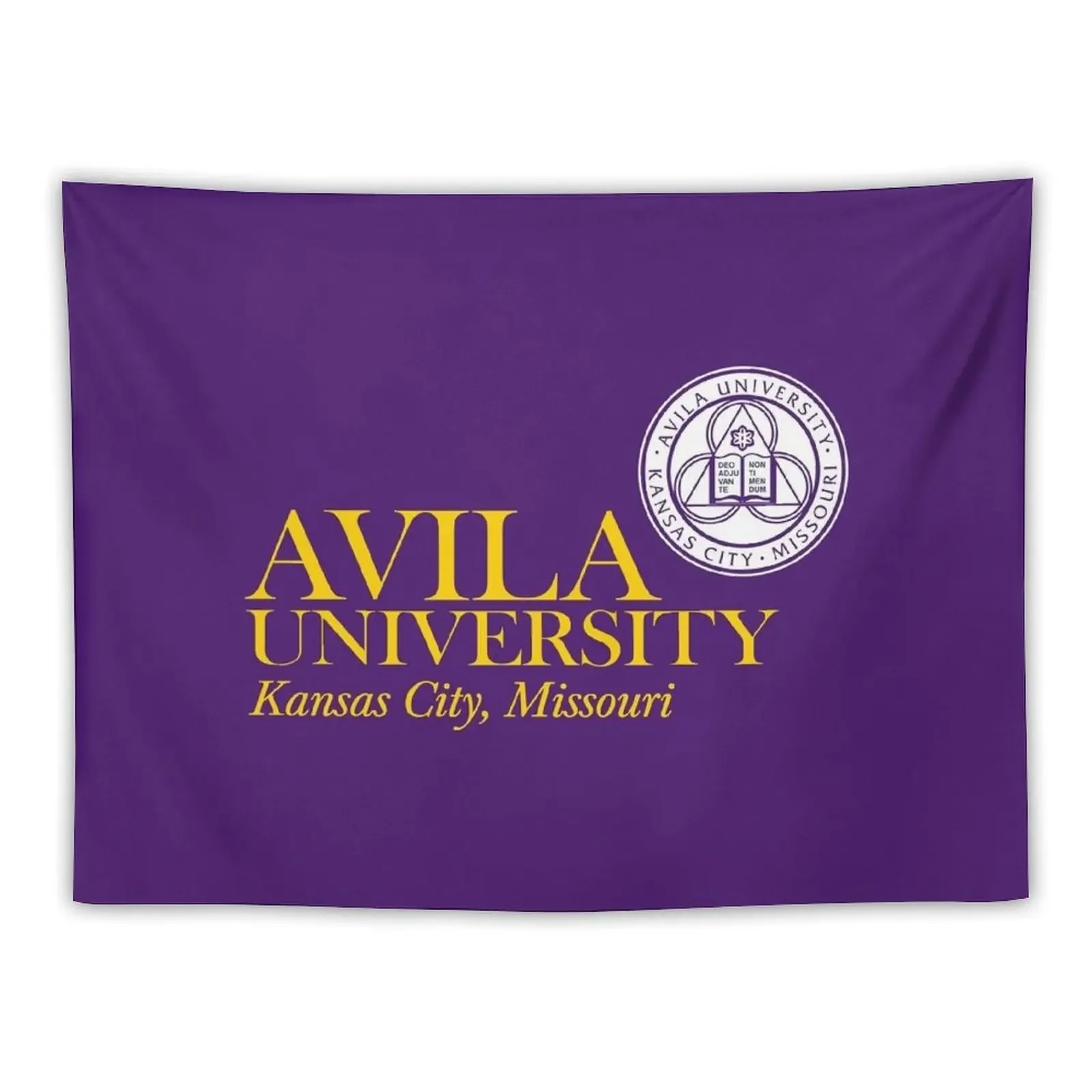 Avila University Tapestry Bedroom Decor Aesthetic Room Decor Carpet Wall Aesthetics For Room Tapestry