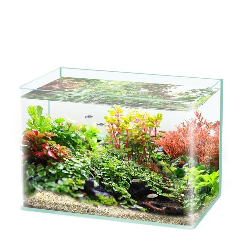 Glass Fish Tank Explosion-proof Glass Thermal Bending Desktop Small Aquarium Turtle Ecological Tank with Decorated Accessories