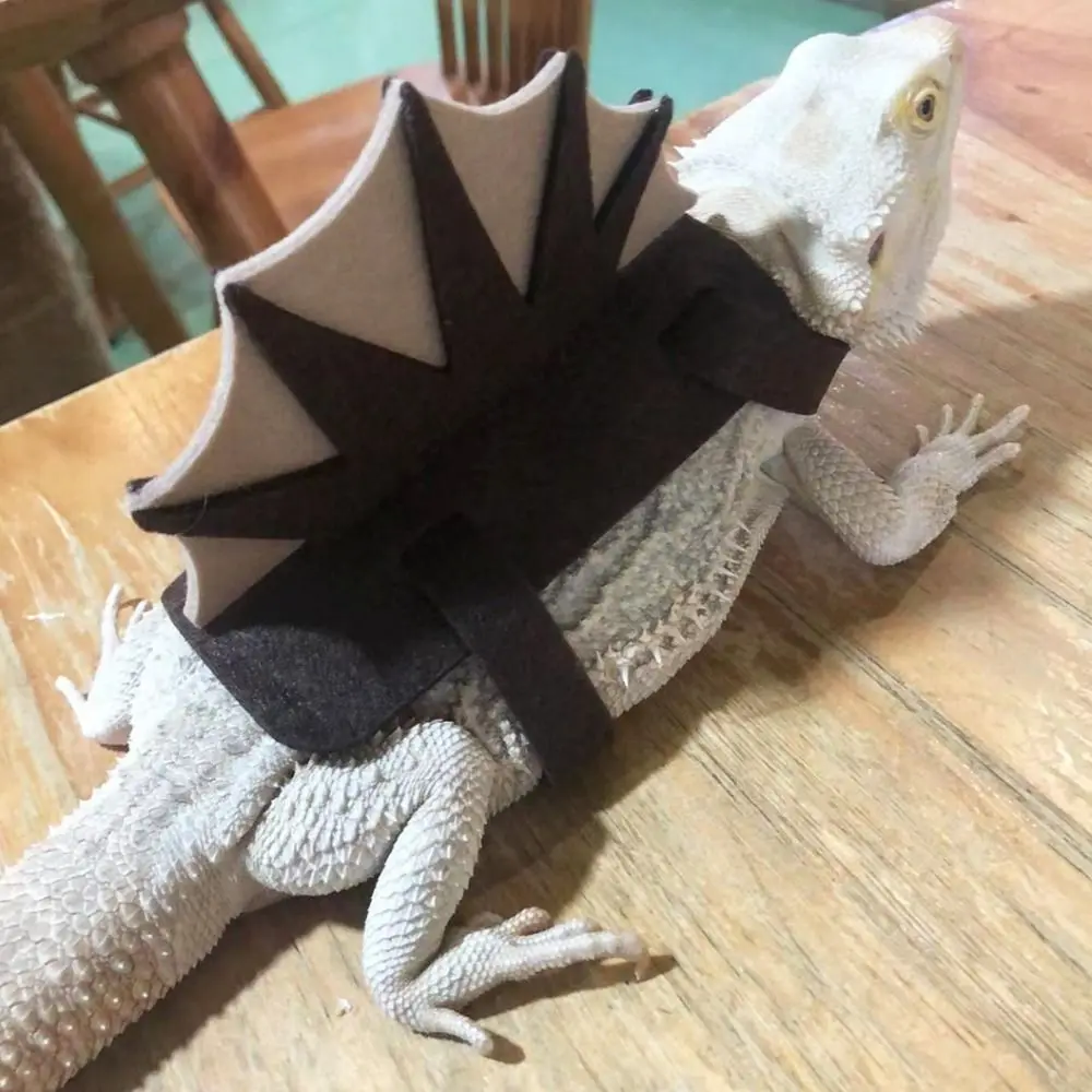 

Stegosaurus Lizard Costume Thorn Dragon 3 Straps Dinosaur Shape Lizard Cloth Funny Comfortable Touch Creative Reptile Apparel