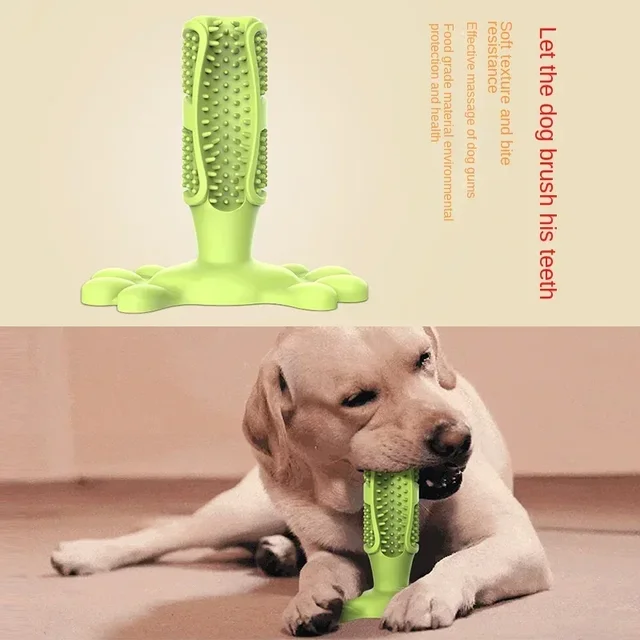 Pet Dog Cactus Interaktywne gumowe zabawki do żucia dla małych i dużych psów Szczoteczka do czyszczenia zębów dla średnich i dużych psów Dozownik przysmaków