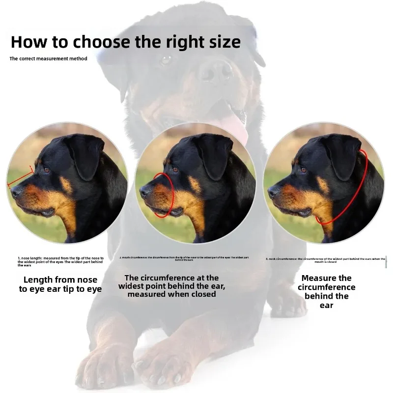 Thumbnail 3 - #35 Highest Rated Dog Muzzles to Buy in 2026