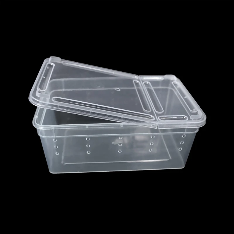 1pcs Plastic 19cmx12.5cmx7.5cm Terrarium For Reptiles Spider Transparent Plastic Feeding Box Insect Food Feeding Container