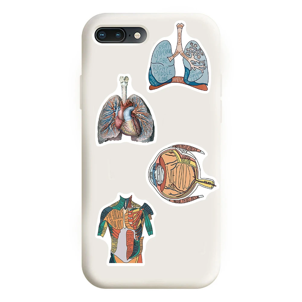10/30/50 Stuks Anatomie En Fysiologie Lichaamsstructuur Stickers Decoratie Stickers Diy Laptop Bagage Briefpapier Graffiti Sticker Pack
