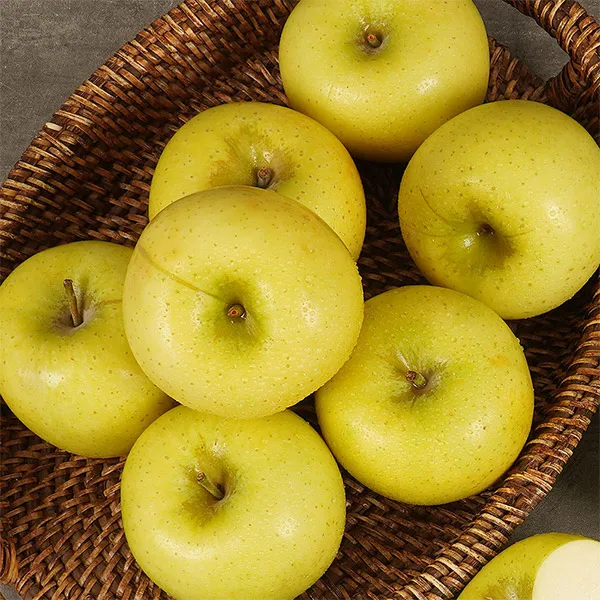 Authentic Shinano Gold Apple Bite-Sized 5kg
