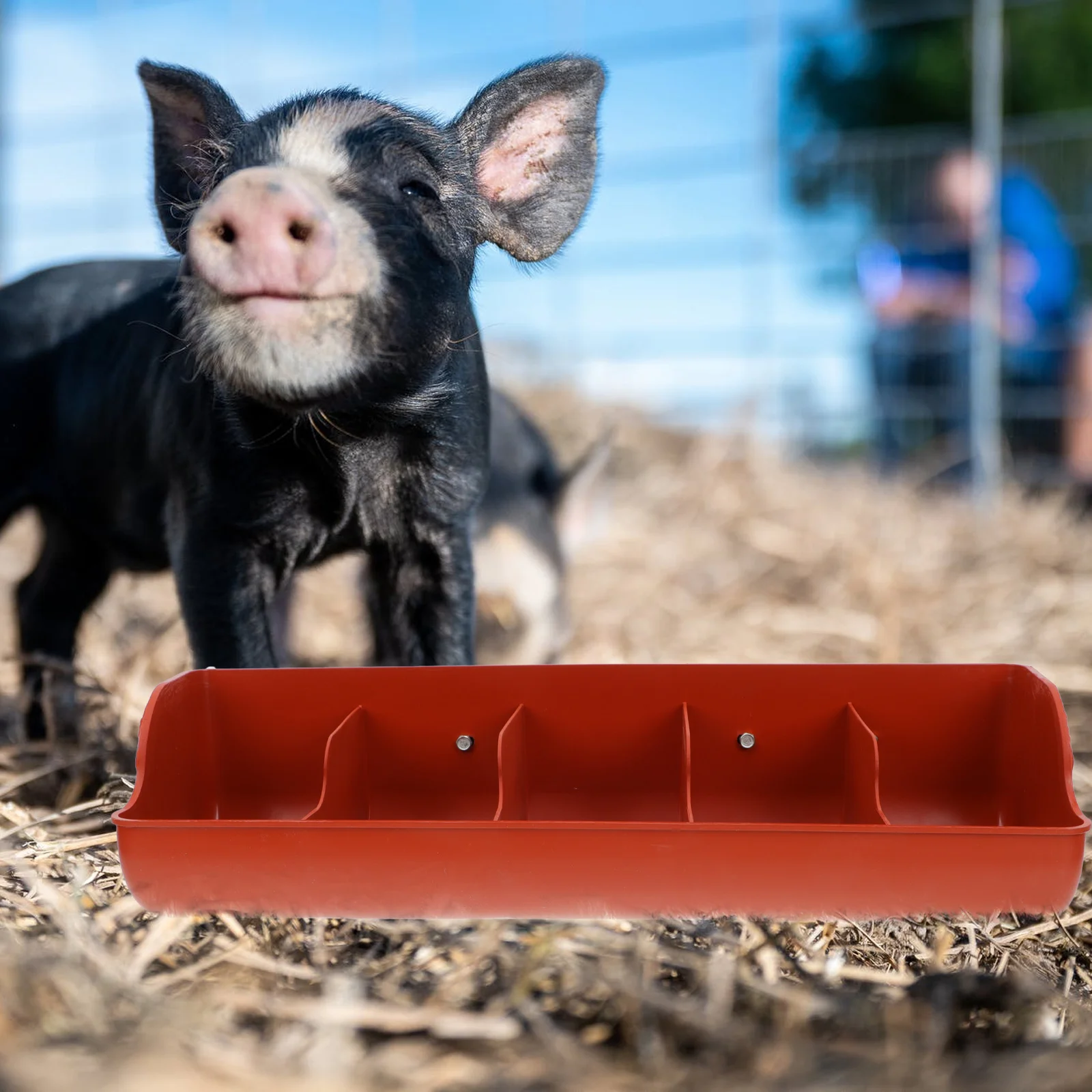 

Feeding Trough Plastic Pig Feeder Easy Install High Resistance Dry Wet Food Multiple Compartment Suitable Size Farm