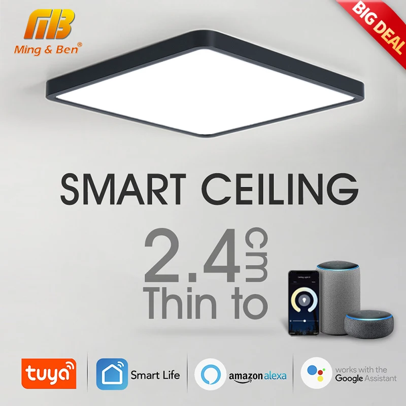 2.4CM Ultra-thin Square Ceiling Lamp Smart Home with Tuya WIFI APP/Remote Control 220V110V 36W Dimmable LED Light for Room Decor