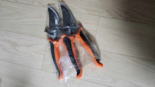리뷰 사진
