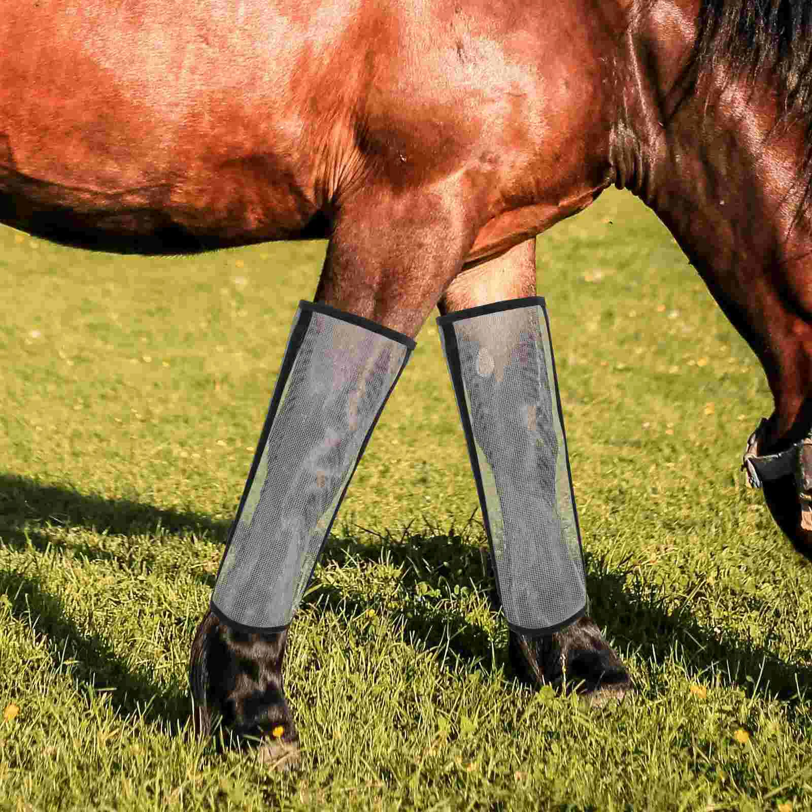 Botas para moscas de caballo, suministros para el cuidado de los pezuñas, fatiga de las piernas, protector de puesto, calzado deportivo de poliéster