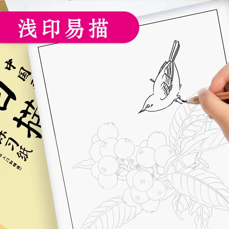 Tracing and Coloring Chinese Painting Beginner Tracing Book Flowers, Birds and Fish Drawing Book Beginner's Workbook
