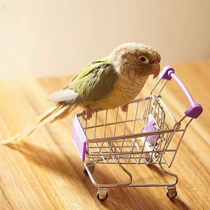 1 pc Random Color Parrot Mini Shopping Cart Toy for Bird Parrot Funny Alloy Bird Training Cage Accessories