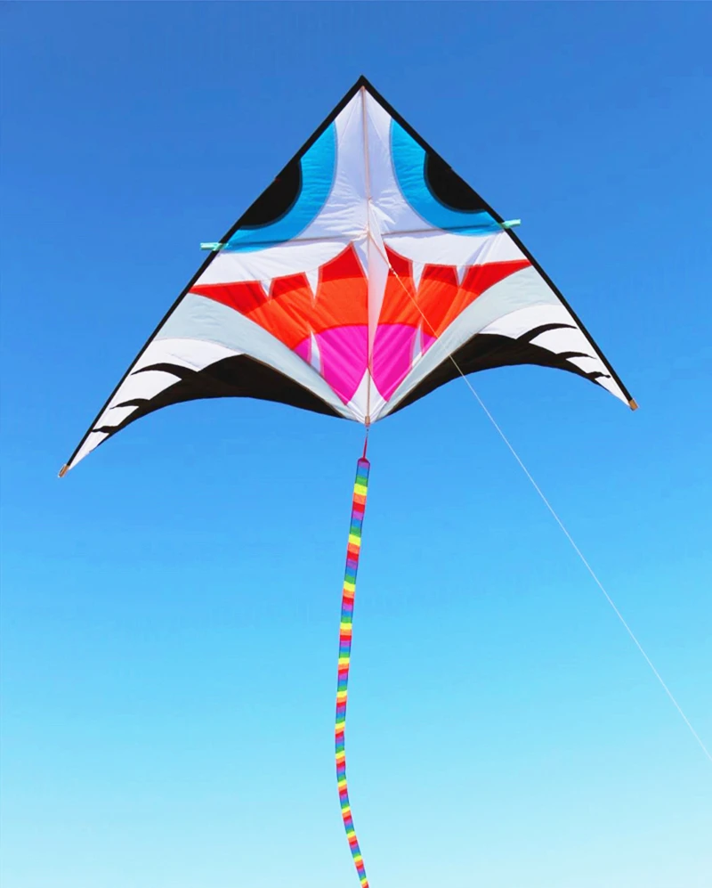 จัดส่งฟรี shark kites บินสําหรับผู้ใหญ่ kites line delta kites โรงงาน windsurf บินของเล่นอุปกรณ์เสริมสําหรับตกปลา Kite reel