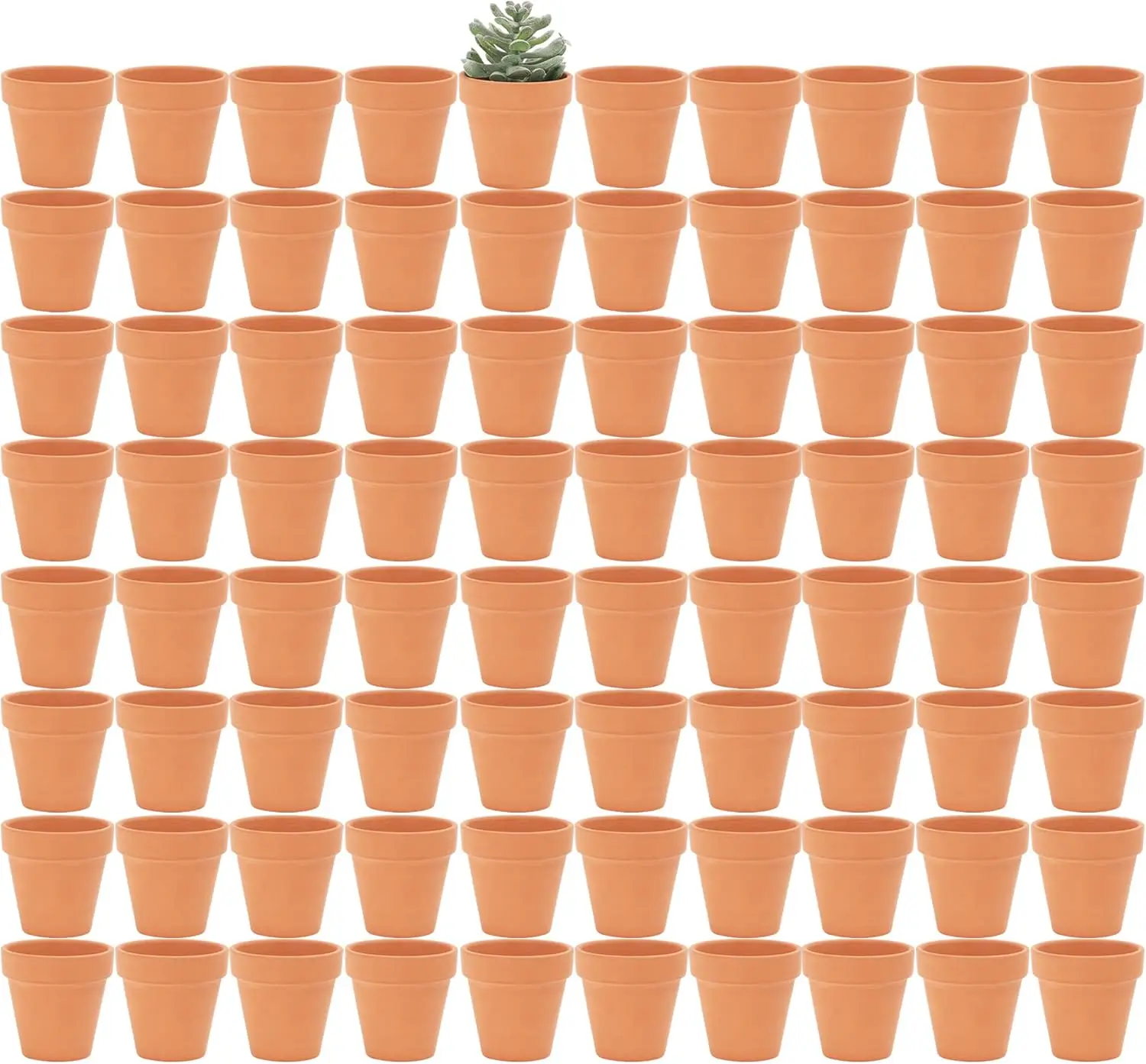 

2 Inch Small Terracotta Pots with Drainage Holes, Mini Clay Ceramic Planters for Succulents, Cactus, Crafts - 80 Pack