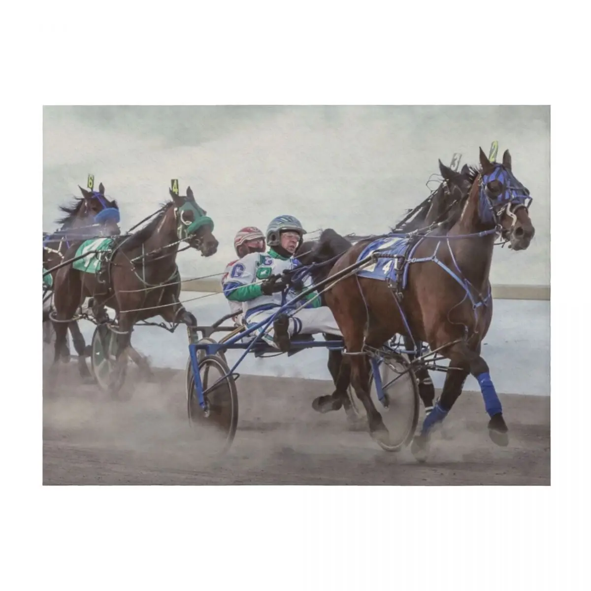 

Trotting races Throw Blanket Flannels Blankets For Sofas for winter Furrys Blankets