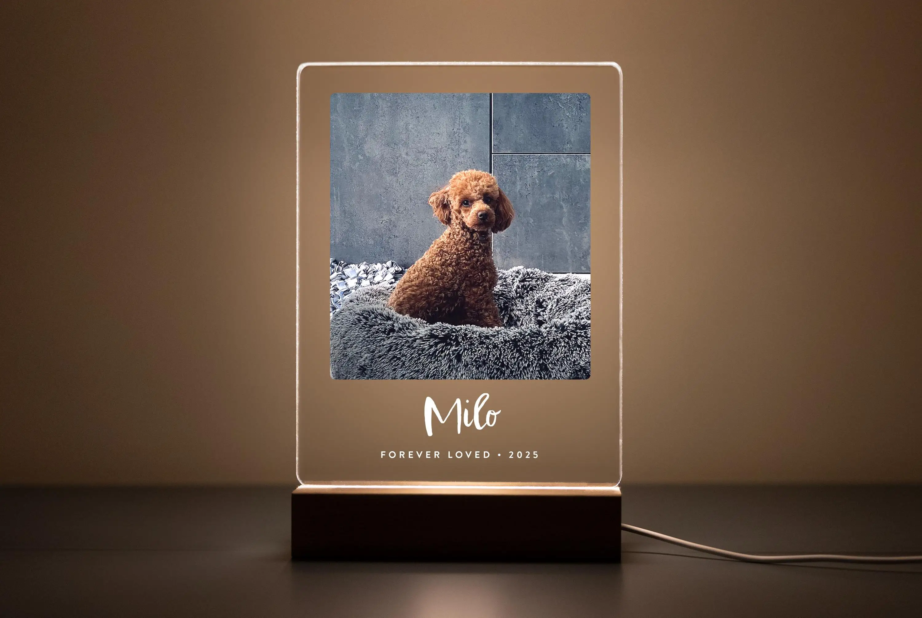 

Pet Memorial Plaque Custom Acrylic Pet Portrait Gift Dog Loss Sympathy Keepsake Personalized Tribute Sign Custom Pet Keepsake