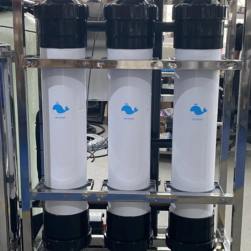 High Efficiency 4T/H Industrial Ultrafiltration System 4000LPH UF Water Treatment Plant For Mineral Water Production