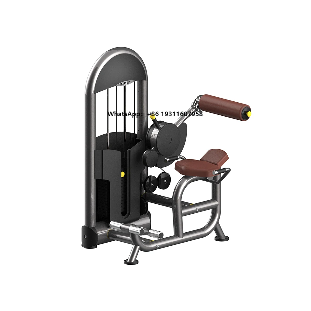 

Fitness Gym Equipment Sports Cardio Muscle Strength Training Equipment Commercial Low Back Extension Machine