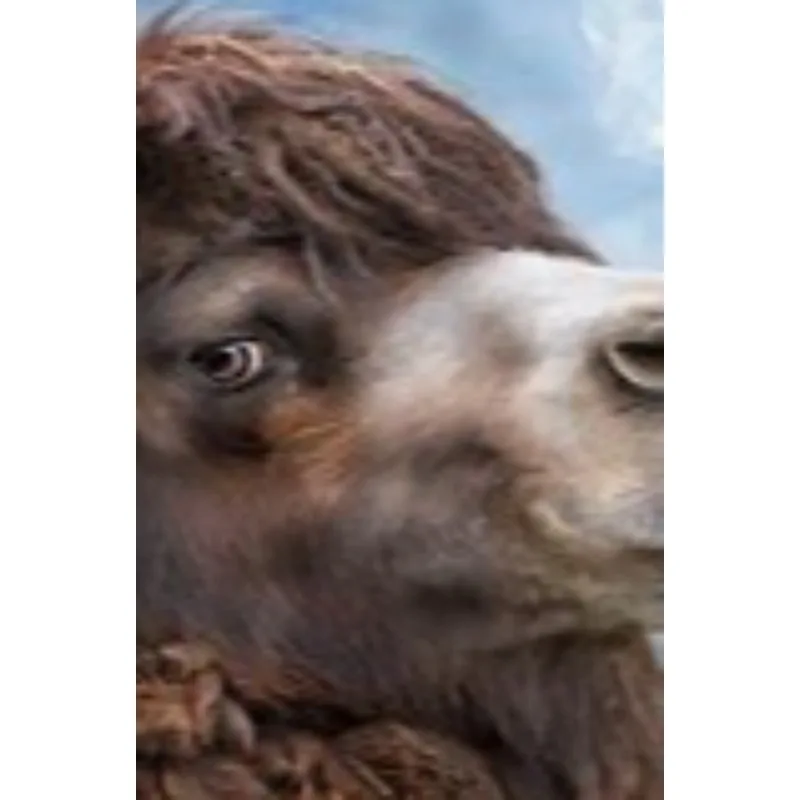 

WLtoys 1/10 104009 104019 Модифицированные металлические запасные части для радиоуправляемого автомобиля 1/12 12402-A 12401 12403 12404 Компоненты усиления шасси