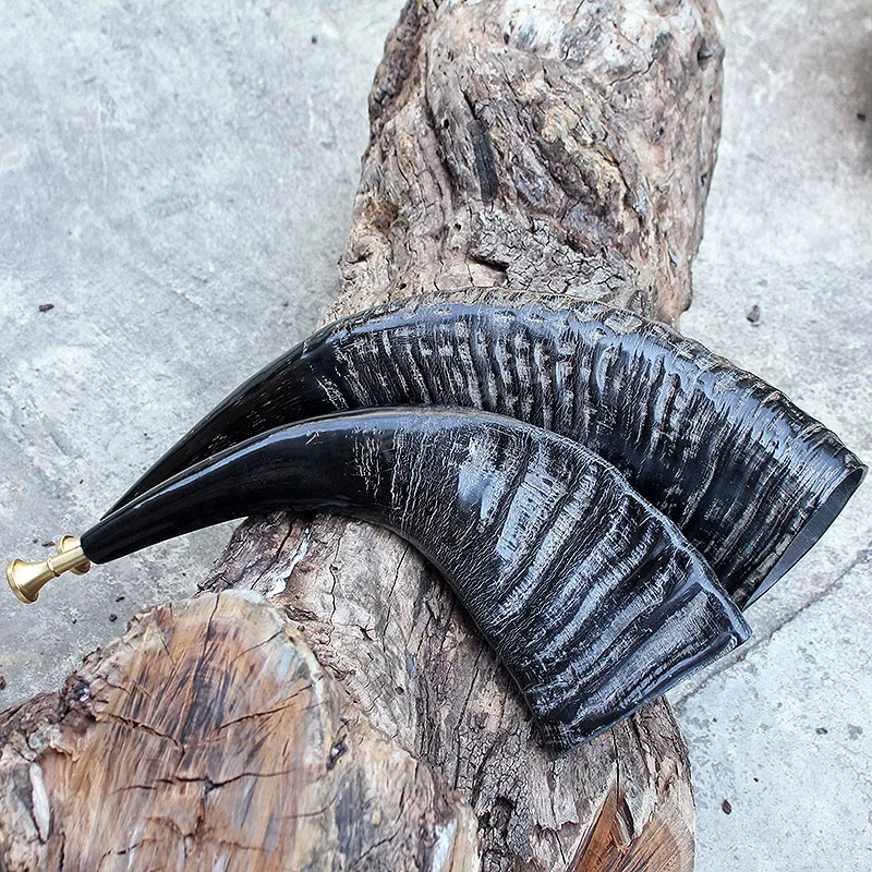 Natural Black Buffalo Horn Instrument