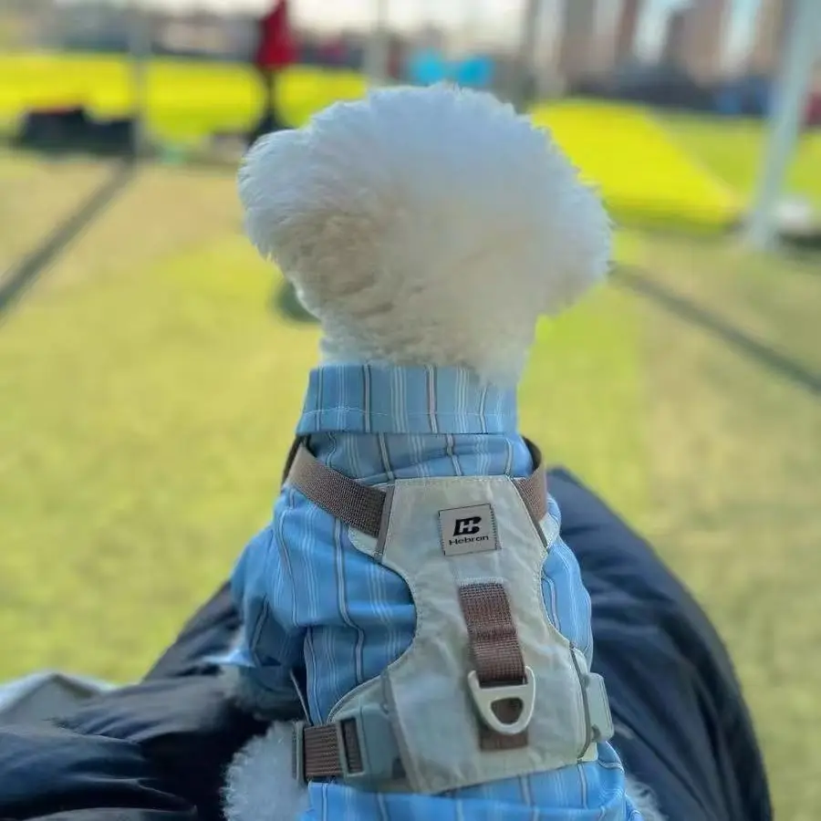 

Small Medium Dogs Cats Harness Vest Set Walking Traction Rope Straps Soft Mesh Harness Breathable Pet Supplies Accessories