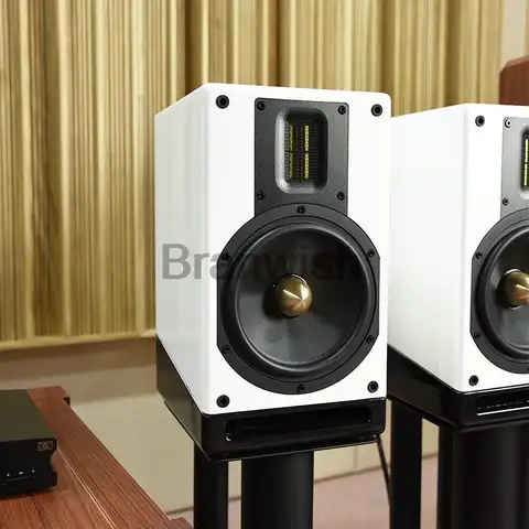 Altoparlante da 6,5 pollici Altoparlante da scaffale bidirezionale 100W Audio ad alta potenza Febbre Audio Hifi Altoparlante per appassionati di home theater passivo