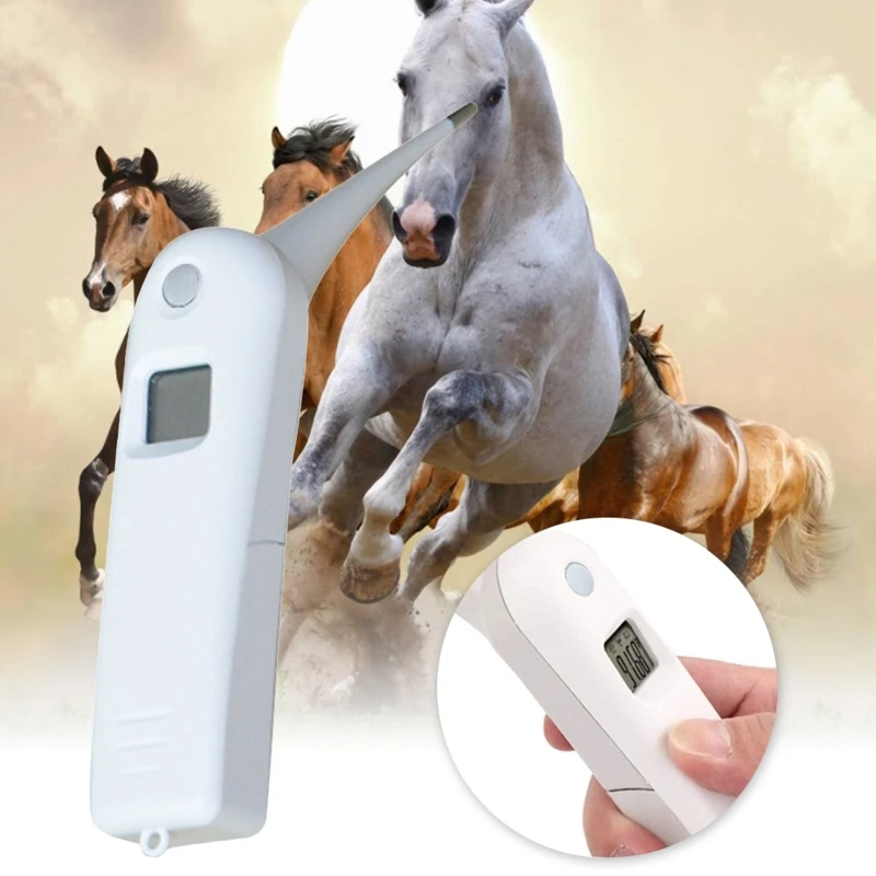 Pet Thermometer for Dogs Cats Birds LCD Display Hanging Rope Included
